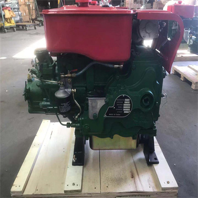 LD1100 LD1105 LD1110 LD1115 MOTOR DIESEL